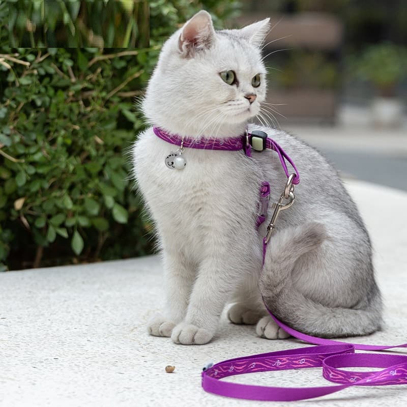 Arnés con Correa y Cascabel para Gatos y Perros Pequeños