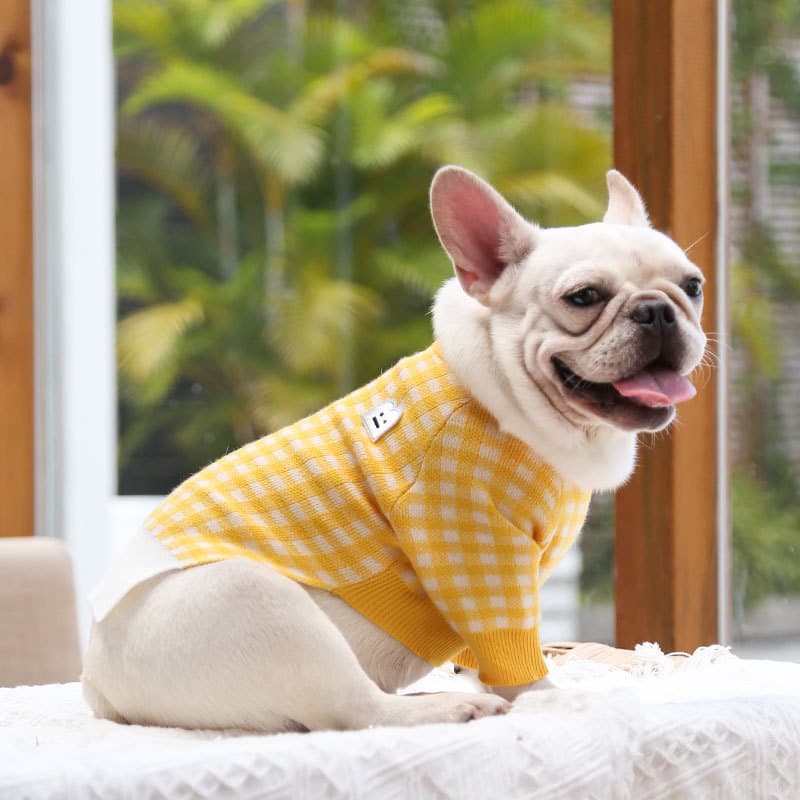 Ropa de Abrigo para Mascotas