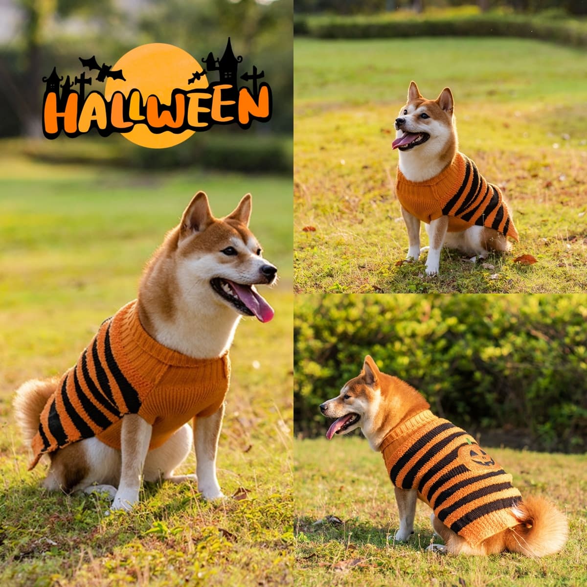 Jersey de Halloween para Perros - Disfraz Teddy Cálido