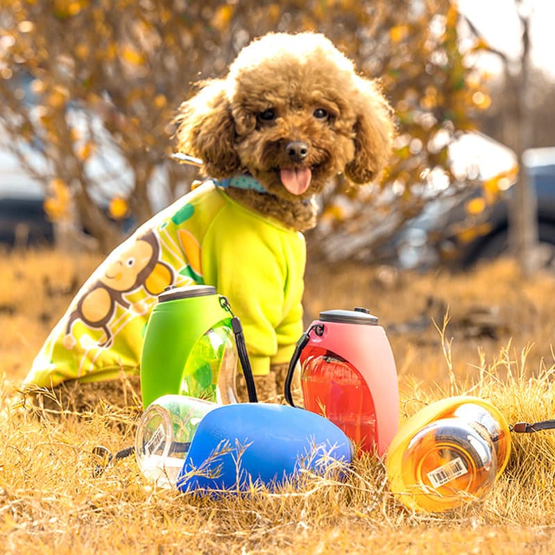 Botella de Agua Portátil para Perros con Cuenco Integrado