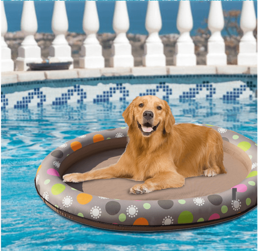 Hamaca Flotante Inflable para Perros en Piscina