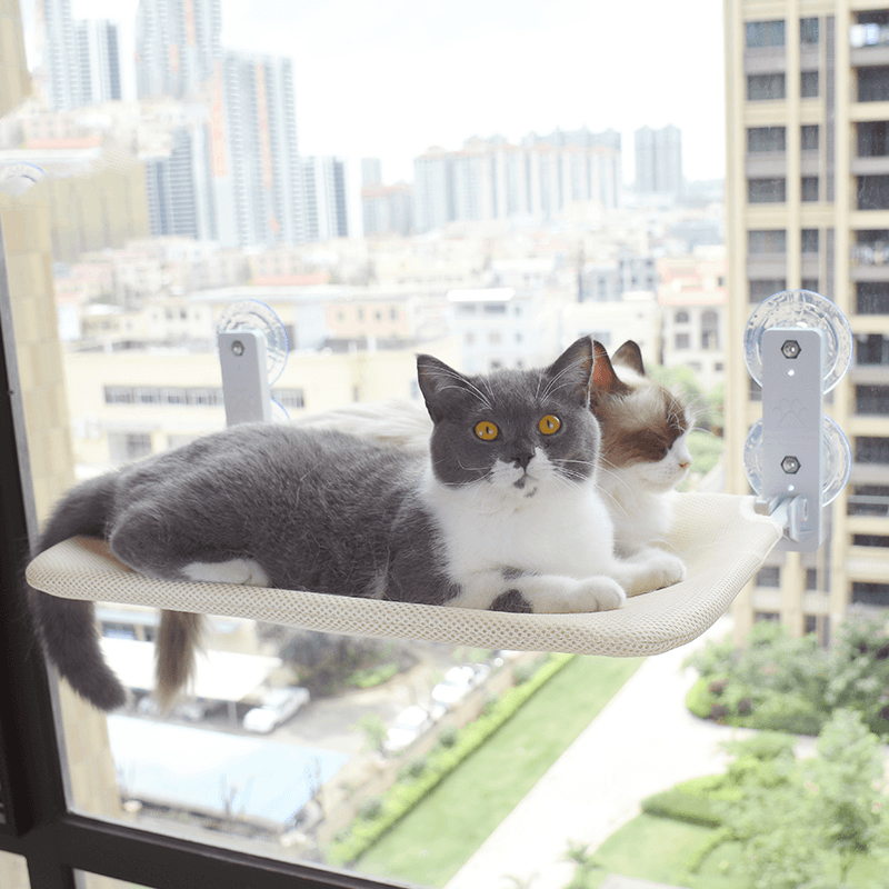 Hamaca para Gatos con Ventosas de Cristal