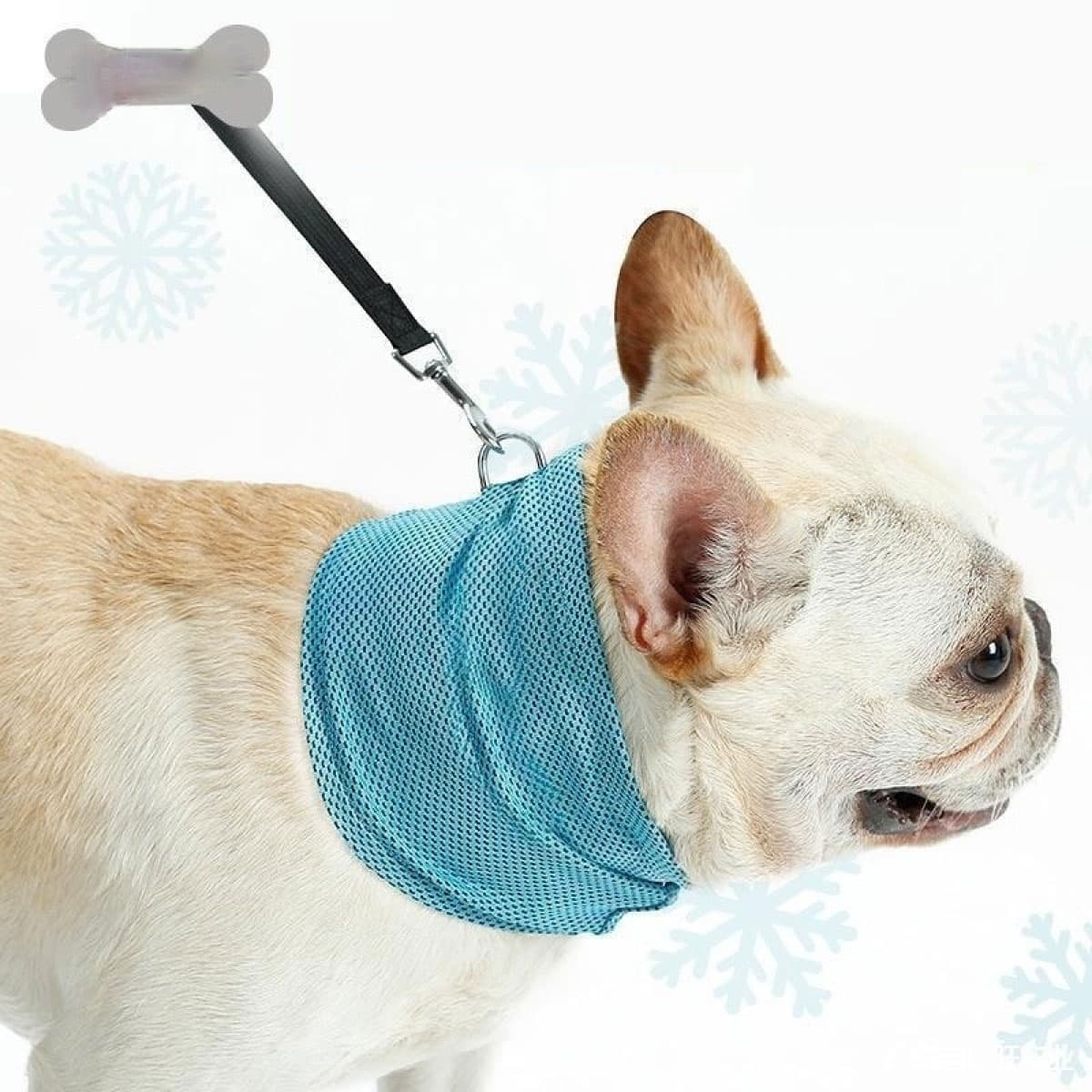 Bandana Refrescante para Perros Verano