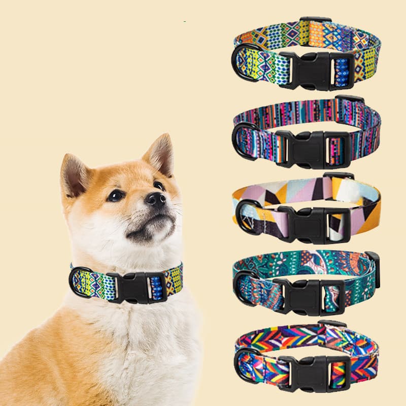 Collar y Correa para Perro Ajustable