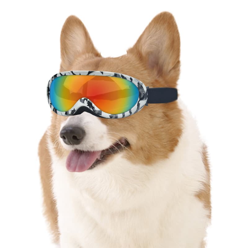 Gafas de Sol Protectoras para Gatos
