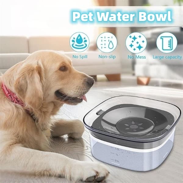 Comedero y Bebedero para Perros y Gatos 2L Antiderrames