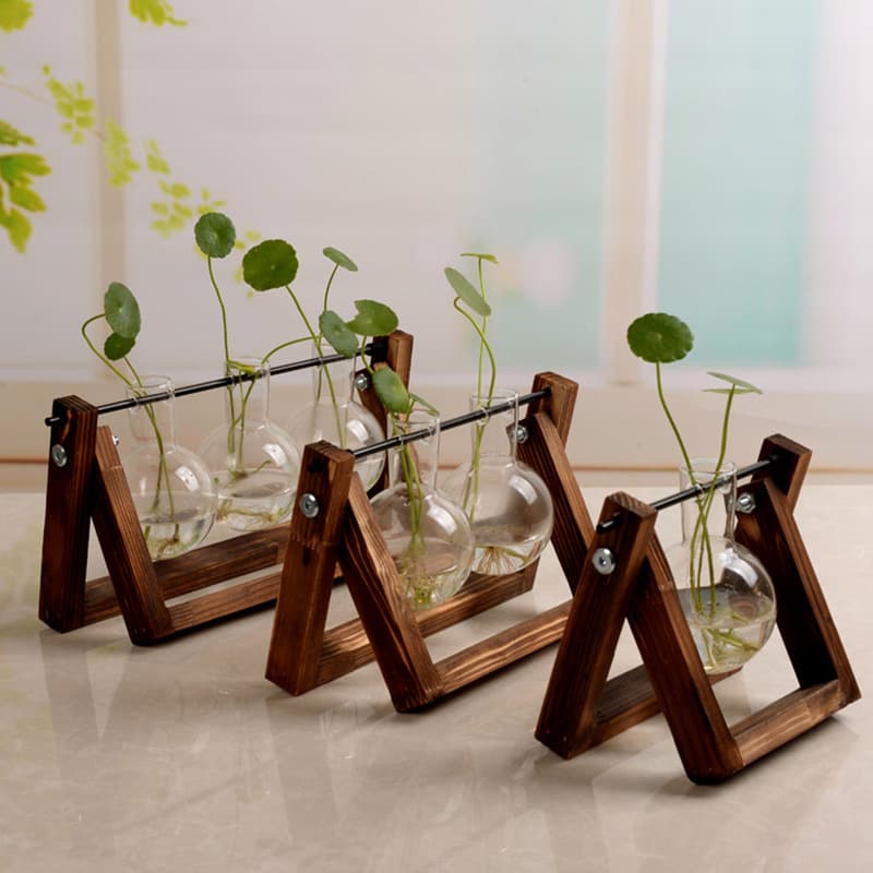Macetero Hidropónico de Cristal con Soporte de Madera