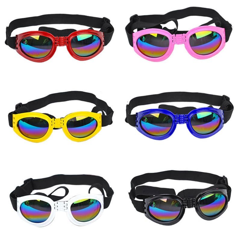 Gafas de sol para perros y gatos