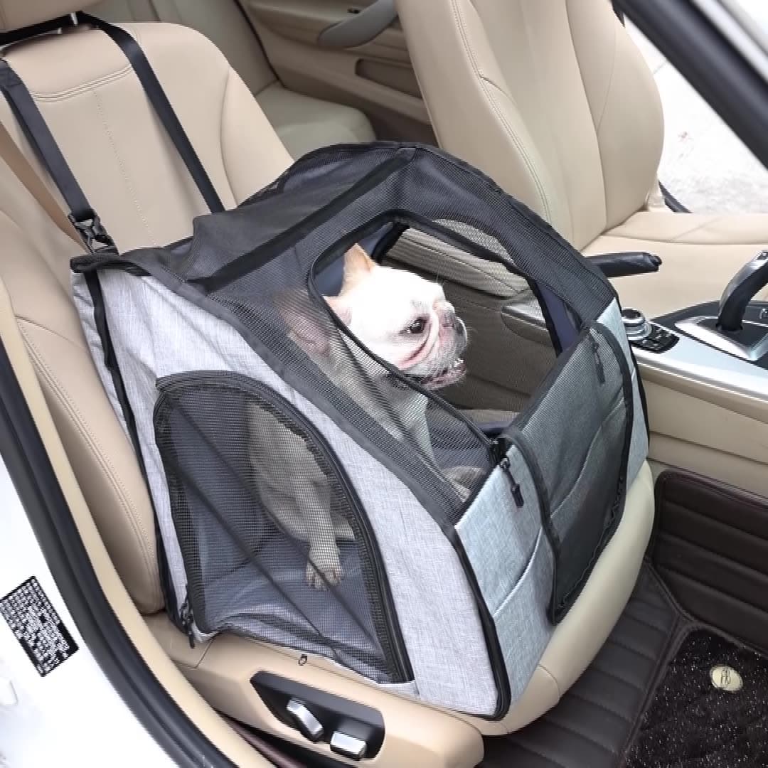Transportín Portátil para Perros