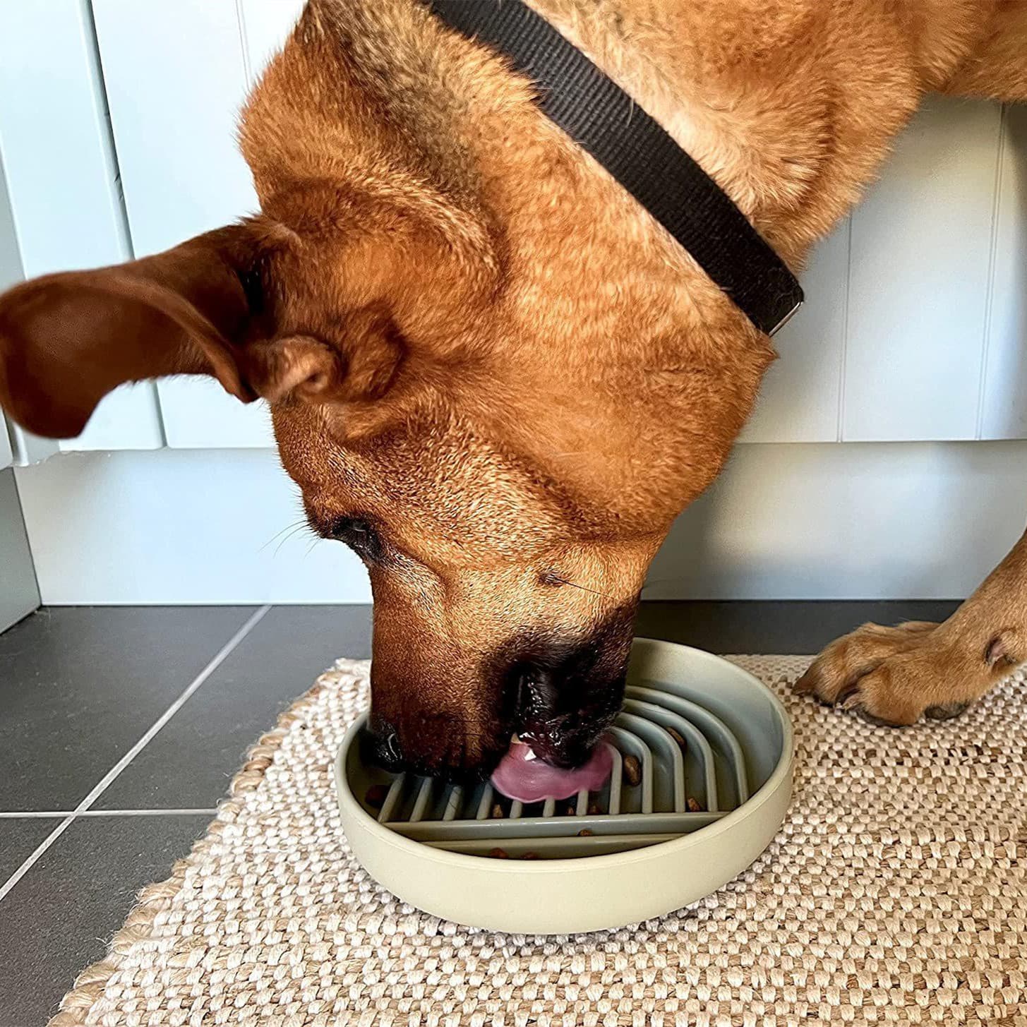 Comedero Lento para Gatos y Perros
