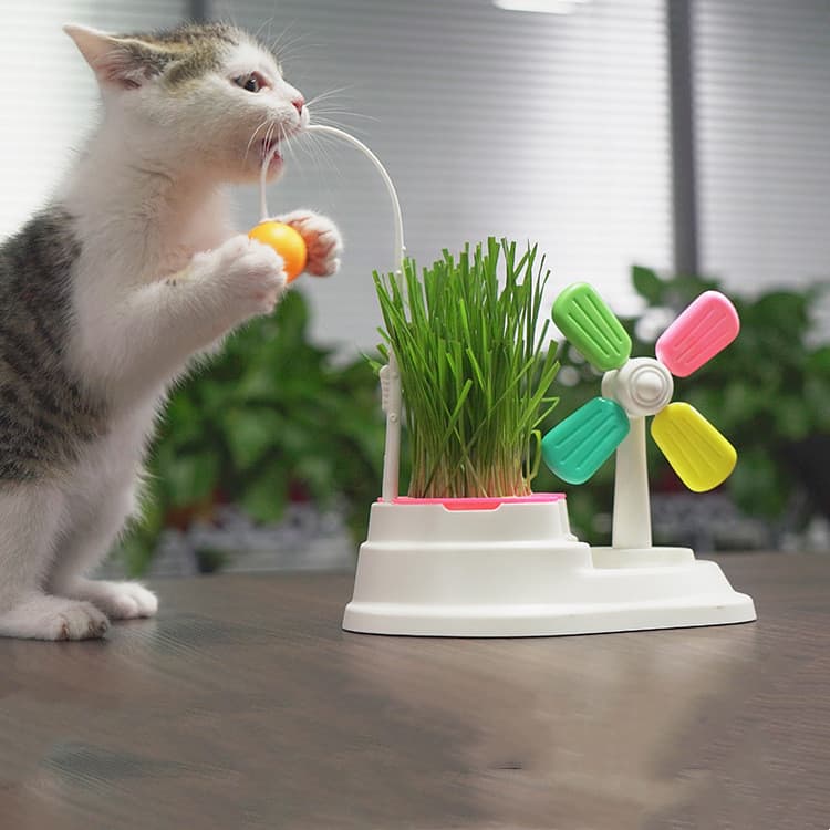 Juguete Gato Molino Interactivo con Hierba