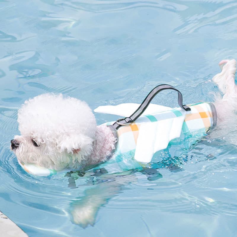 Chaleco Salvavidas para Perros - Pequeño, Mediano y Grande