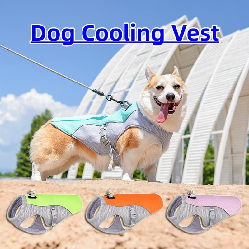 Chaleco Refrigerante para Perros Verano