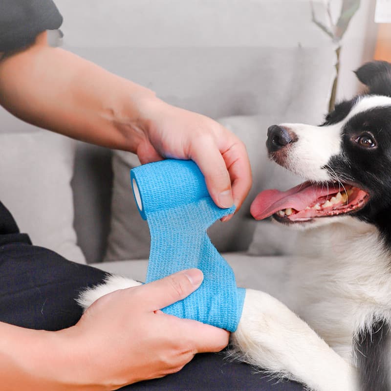 Protector de patas para perros - Funda anti-suciedad