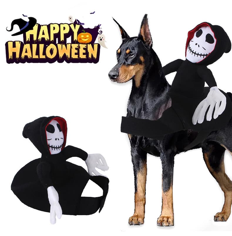 Disfraz Araña y Calabaza para Mascotas - Halloween