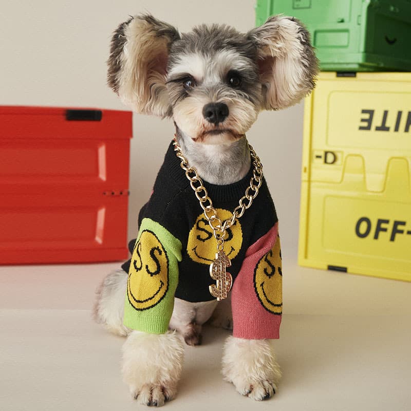 Collar Cadena Dorada con Placa para Mascotas