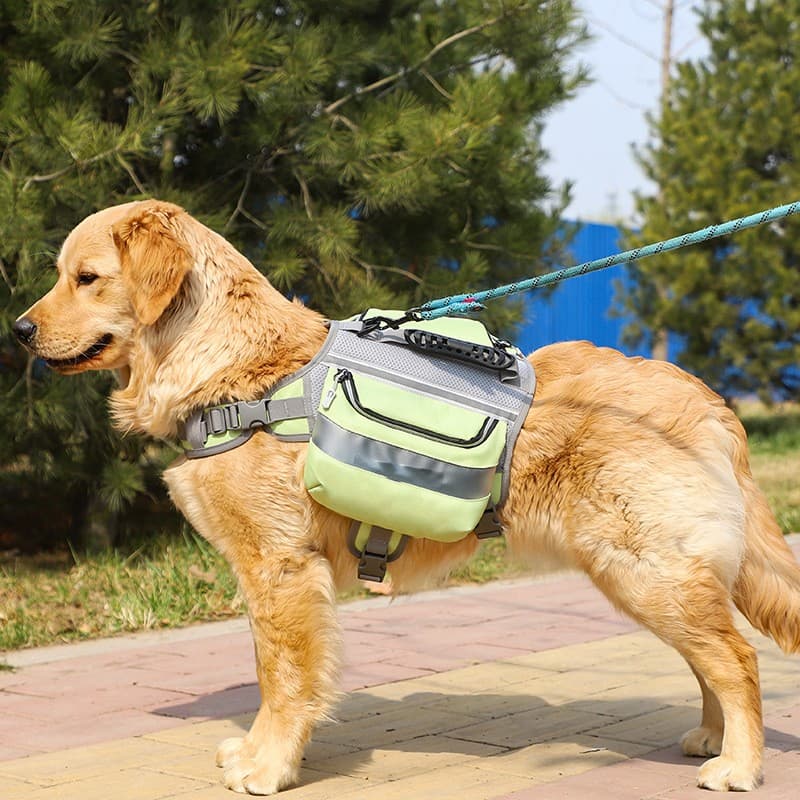 Mochila Grande para Perros Outdoor