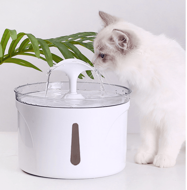 Dispensador de Agua Automático para Mascotas con Filtro Circulante