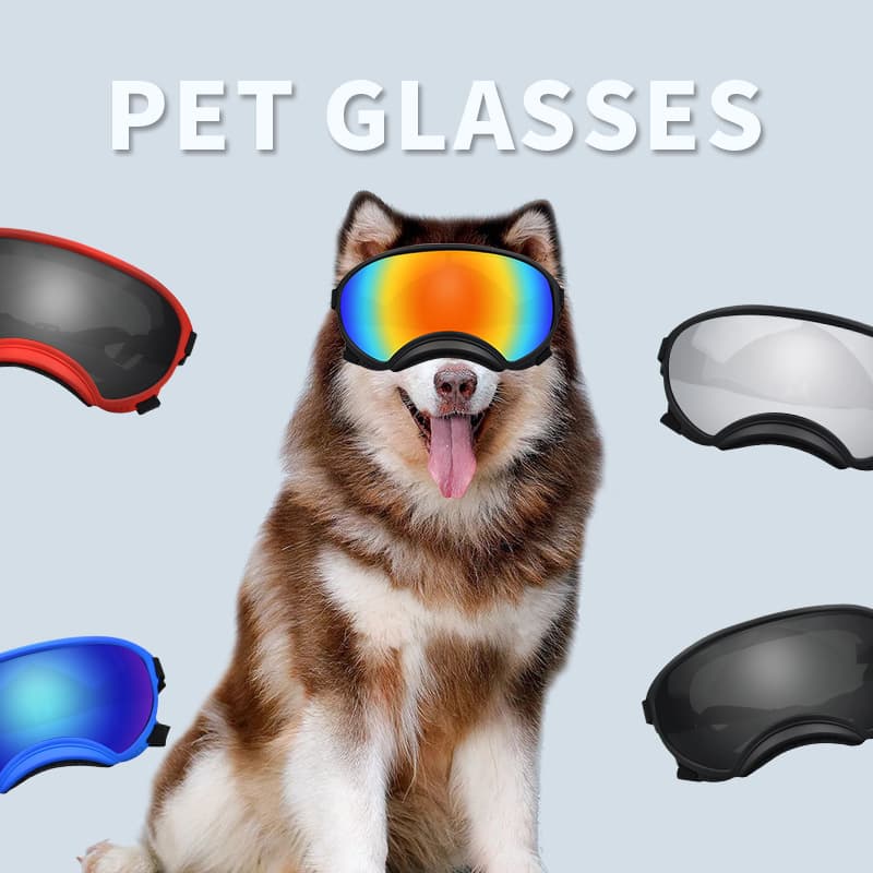 Gafas de Protección para Perros Esquiador