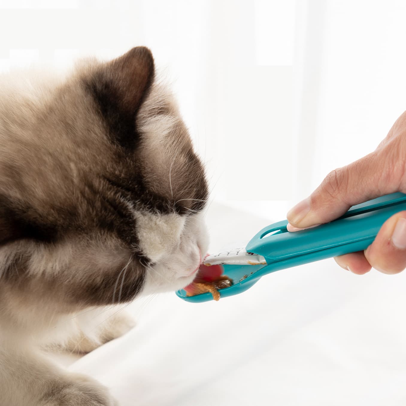 Dispensador de Golosinas para Gatos Strip Hot