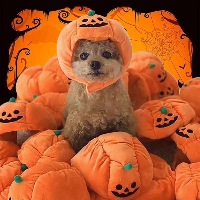Gorro de Calabaza Halloween para Mascotas