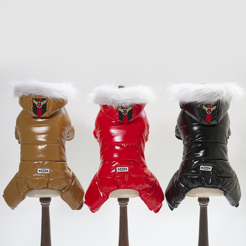 Ropa para Perros Teddy