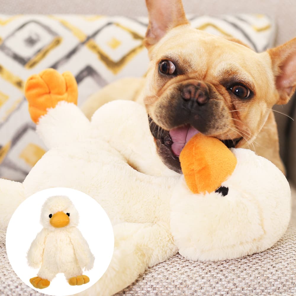 Juguetes Peluche para Perros