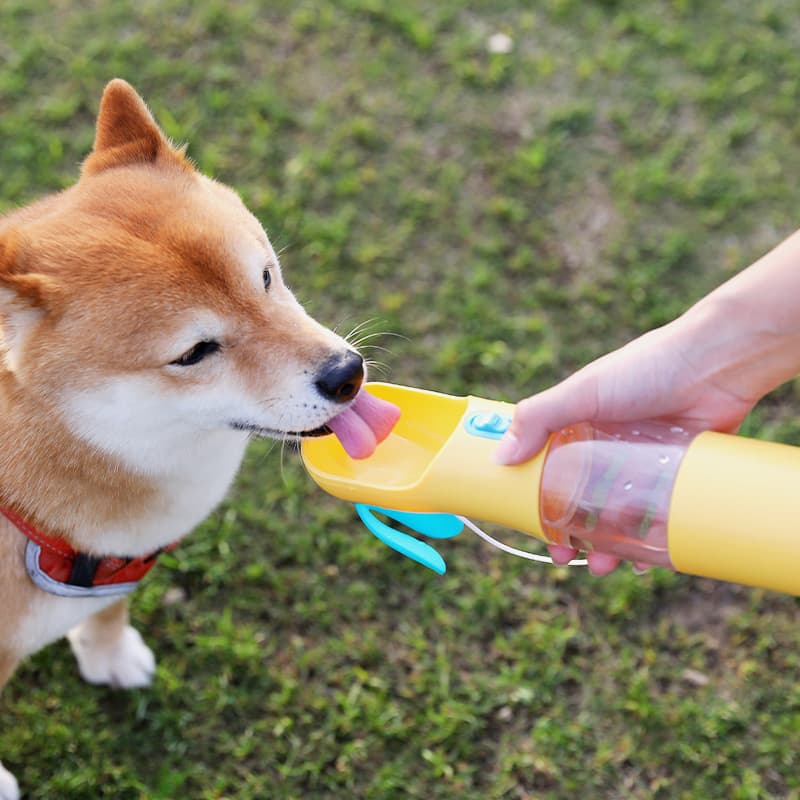 Comedero y Bebedero Portátil para Mascotas