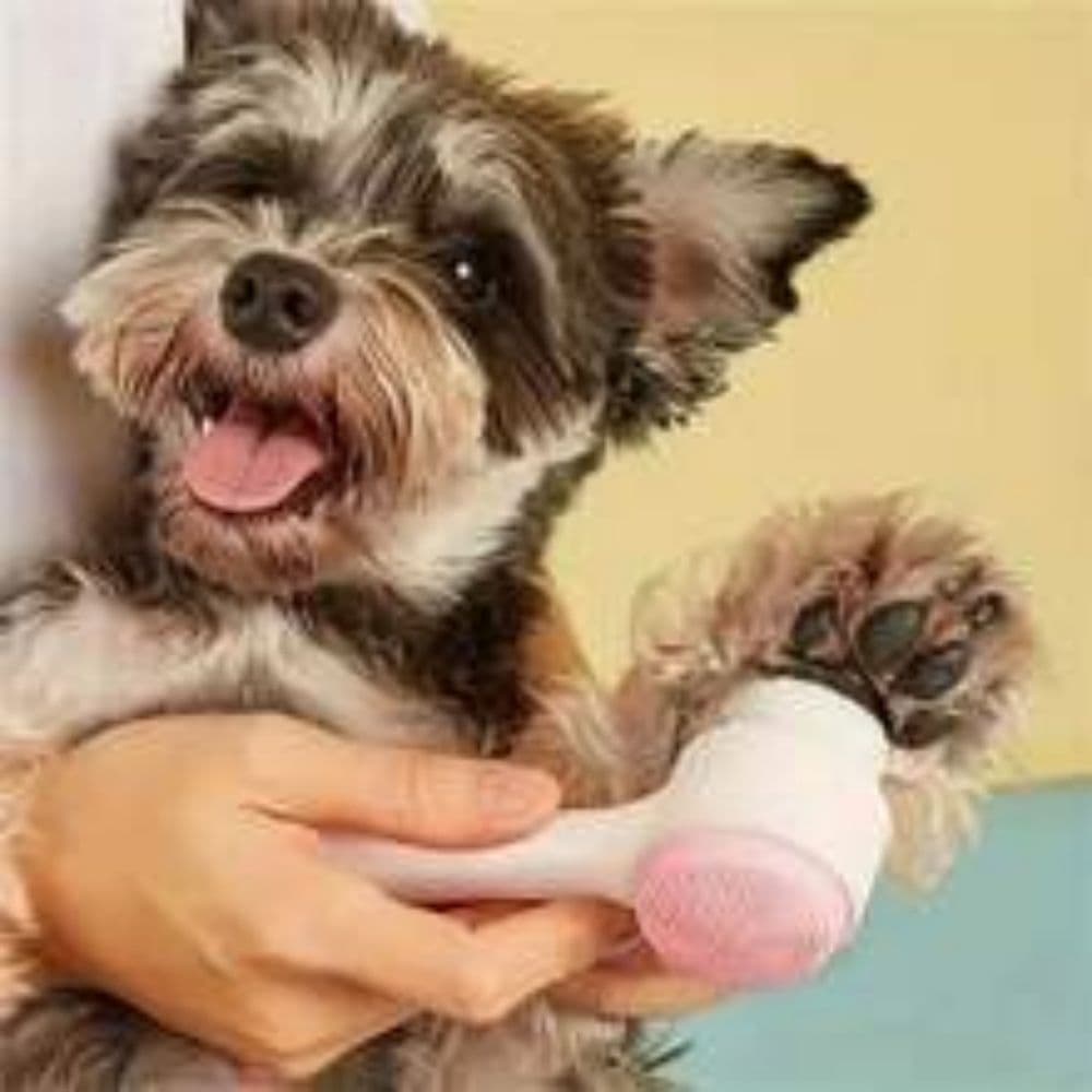 Cepillo de Pata Easy Clean - Herramienta de Aseo para Perros y Gatos