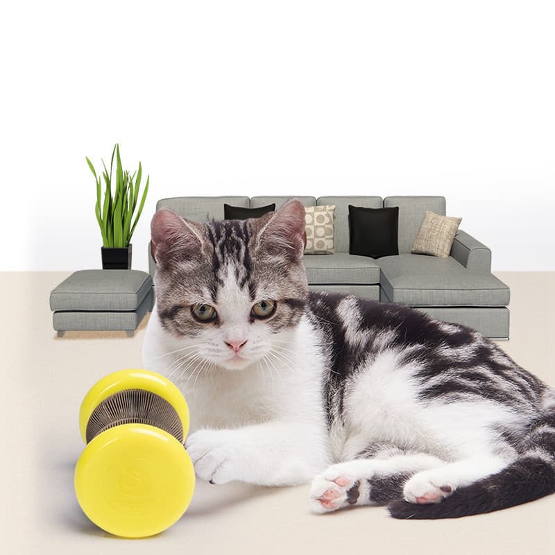 Rascador Corrugado Magic Organ para Gatos