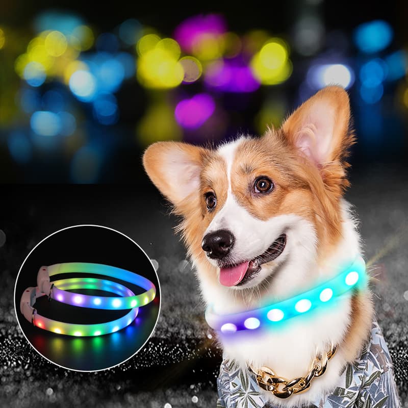 Collar LED Recargable para Perro con Luz Intermitente