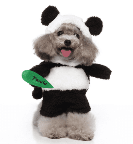Disfraz para Perros Standing Outfit - Halloween y Navidad