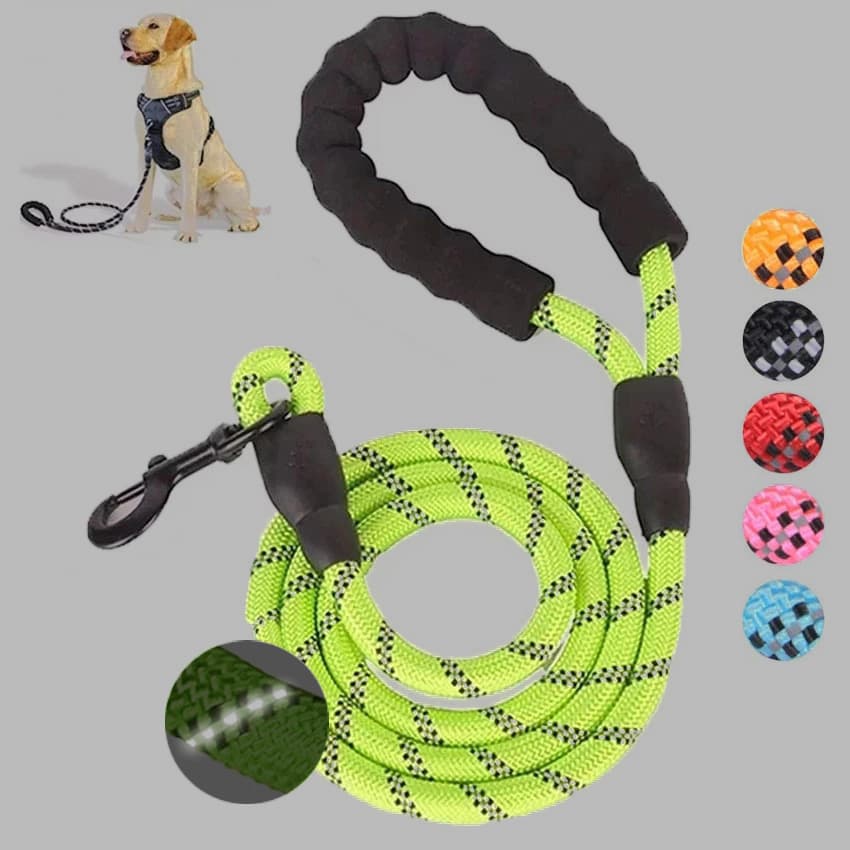 Correa Luminosa para Perro Pequeño y Mediano