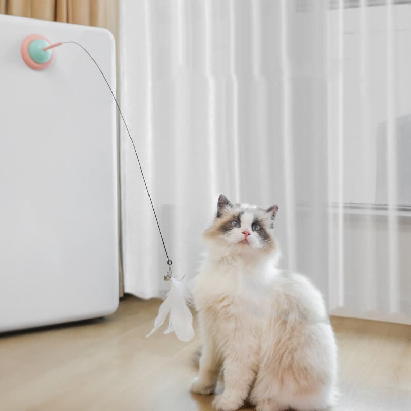 Juguetes Interactivos para Mascotas