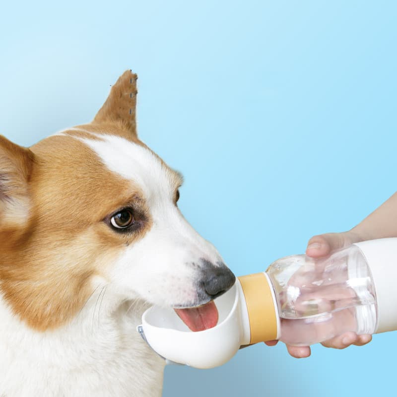 Botella de Agua Portátil para Perros