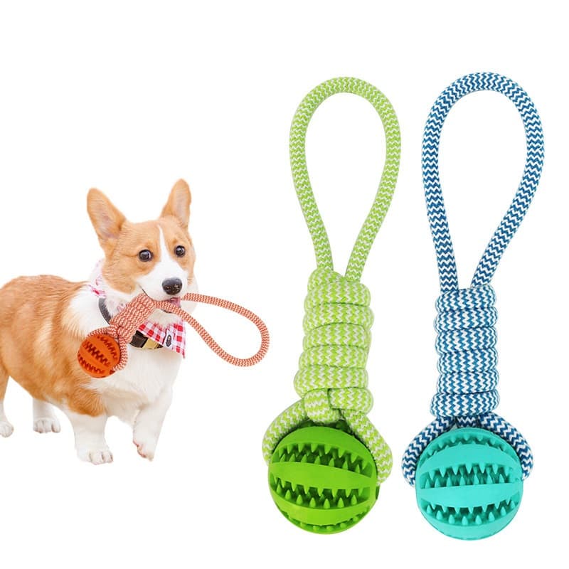 Set de Juguetes Interactivos para Perros con Pelotas de Goma y Cuerda