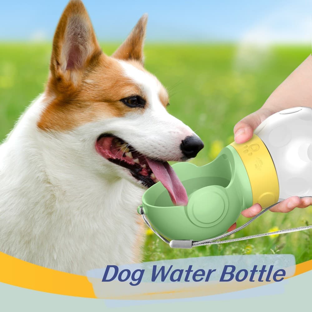 Botella de Agua Portátil para Perros - Comedero y Bebedero de Viaje