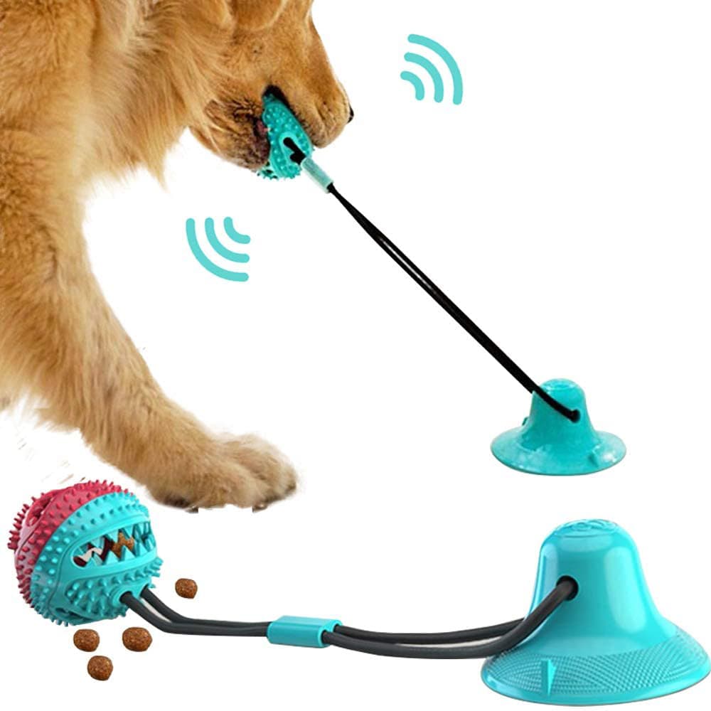 Juguete Interactivo para Perro con Ventosa y Pelota de Goma