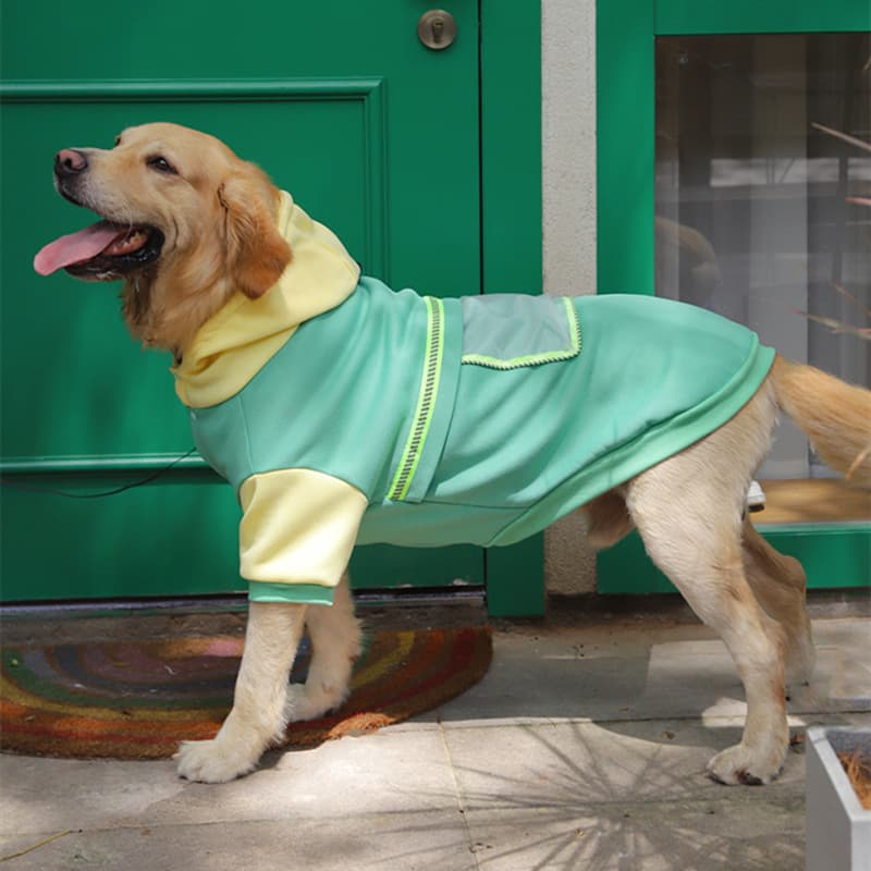 Suéter para Perro Talla Grande