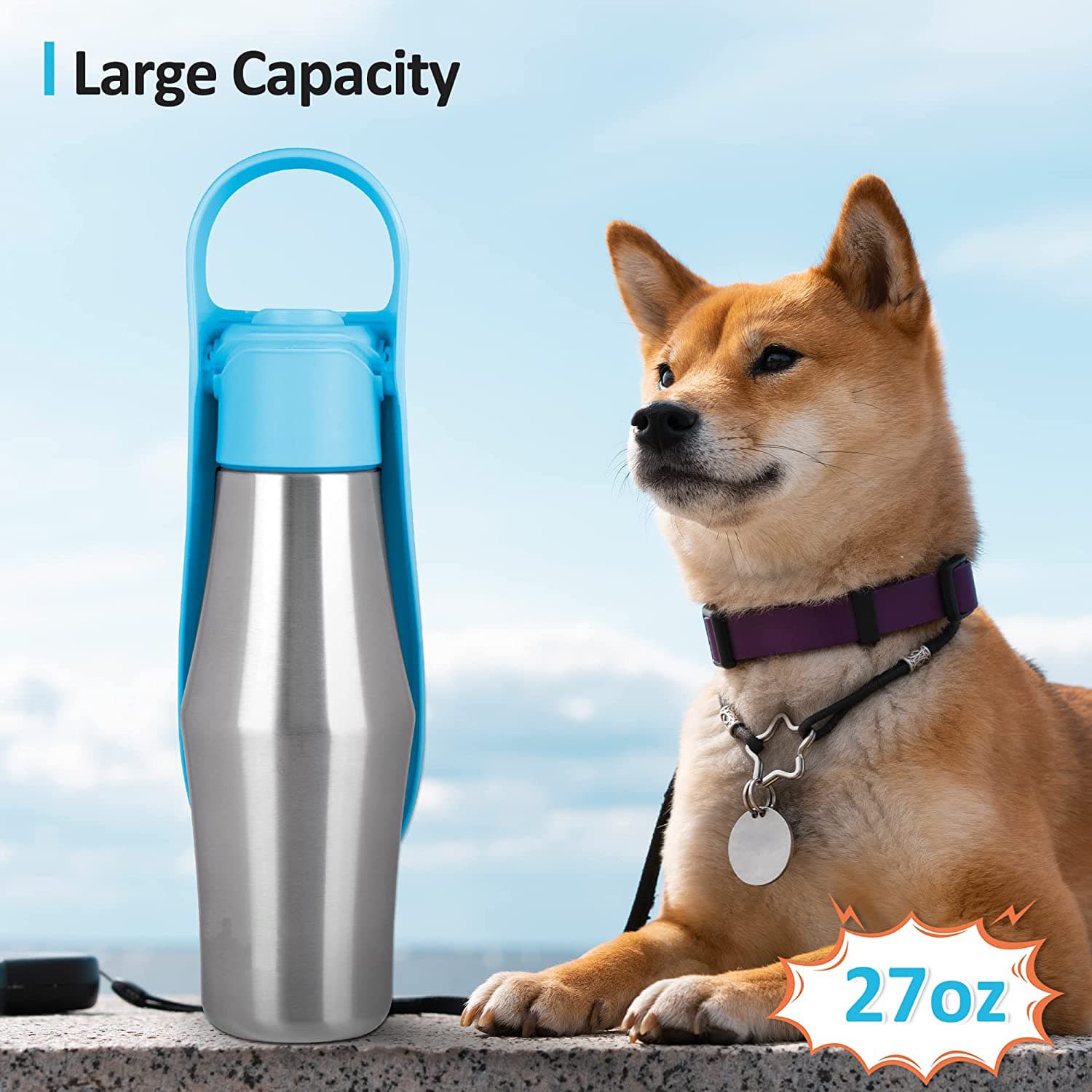 Botella de agua portátil para perros con diseño de hoja