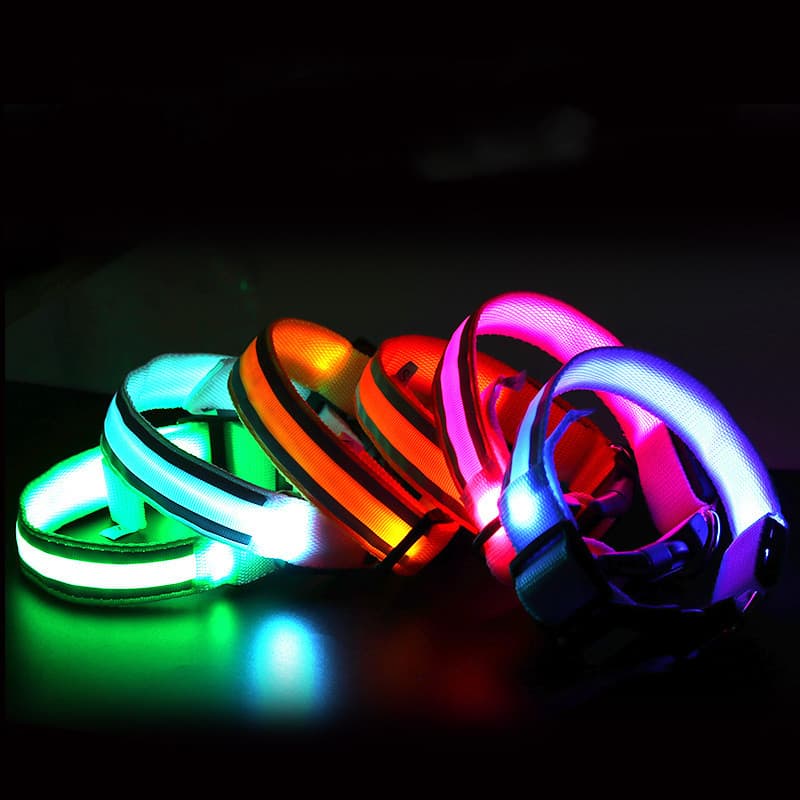 Collar Luminoso Anti-pérdida para Perros
