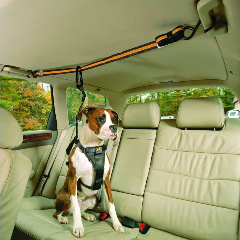 Cinturón de Seguridad Dual para Mascotas en Coche