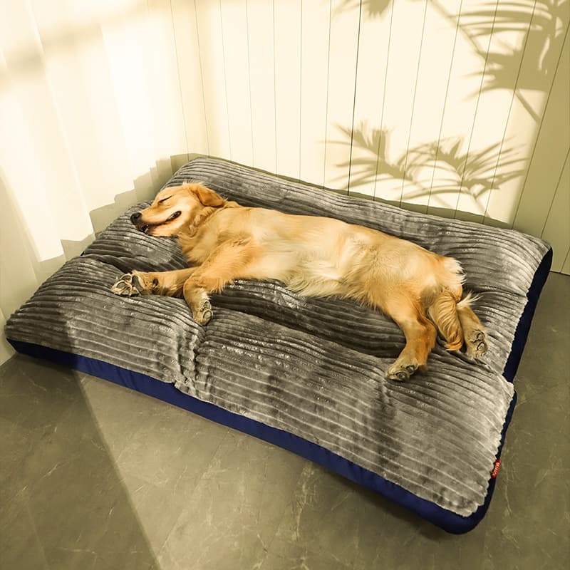 Cama para mascotas desmontable y lavable