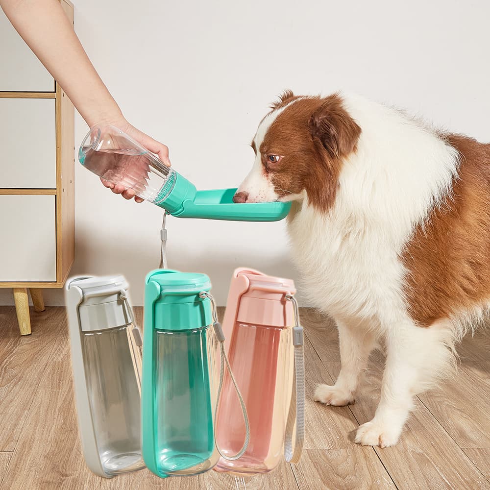 Botella de Agua Plegable para Perros 550ml