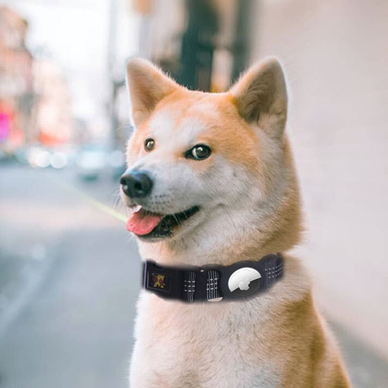 Localizador GPS para Mascotas con Protector