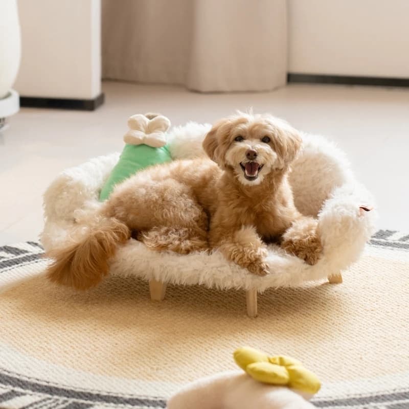 Cama de Madera Lujosa para Perros y Gatos