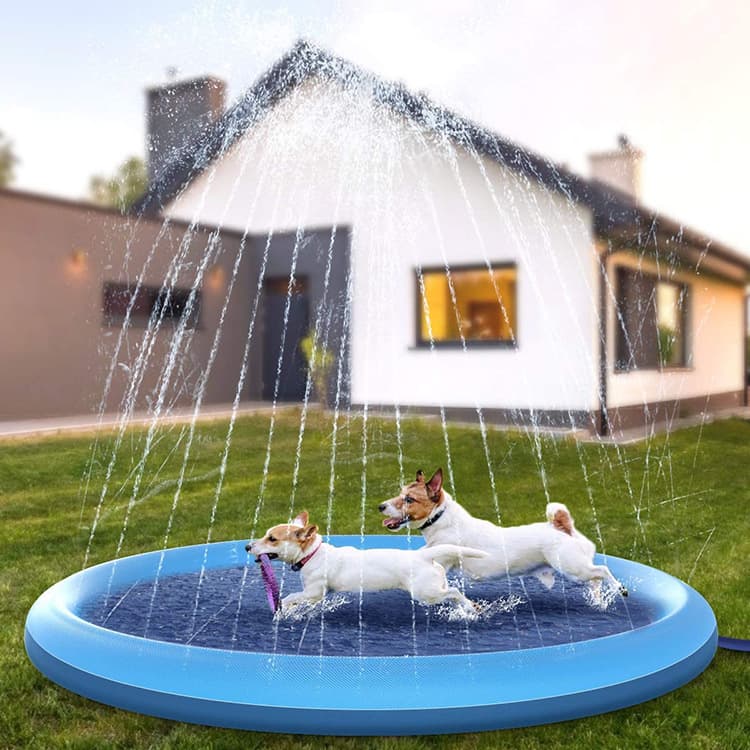 Tapete de Juego con Spray de Agua para Mascotas