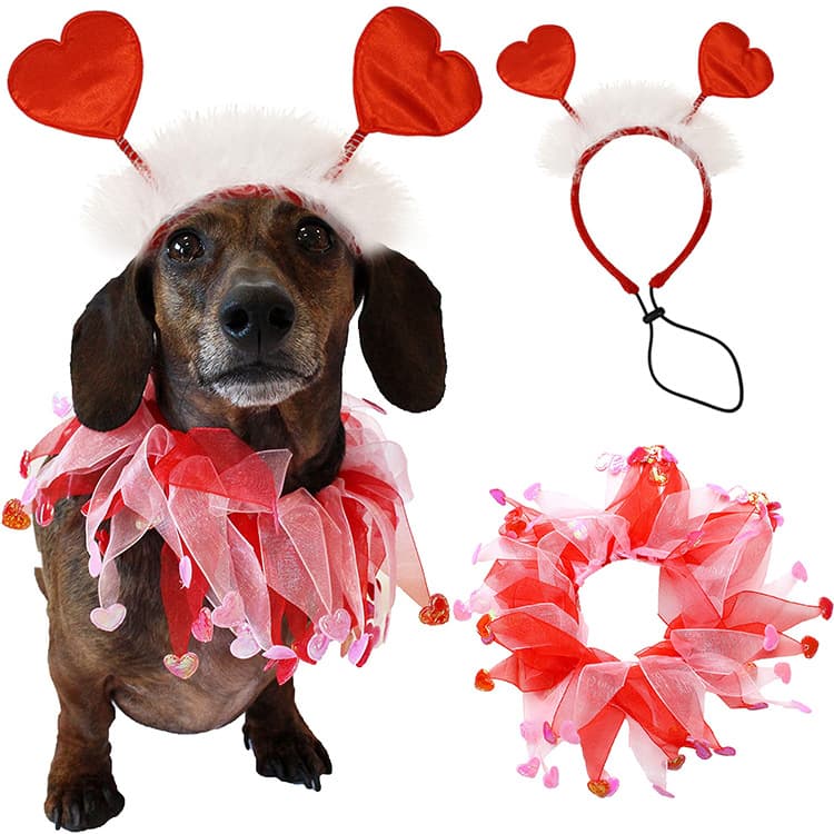 Diadema San Valentín para Mascotas