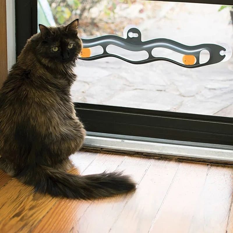 Juguete Interactivo de Pista para Gatos Windowsill