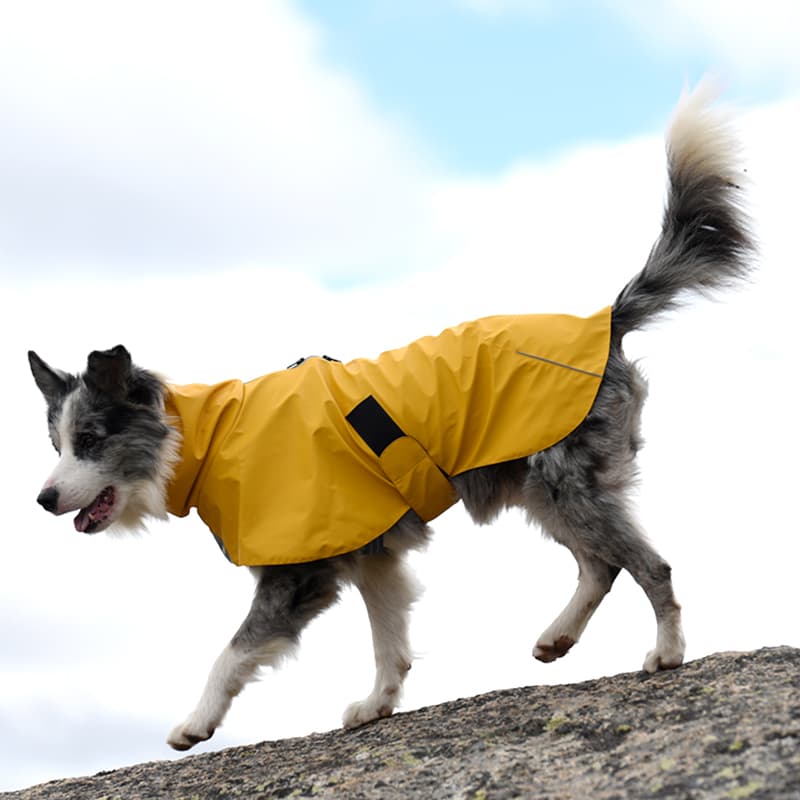 Impermeable para Perros - Cortavientos Resistente